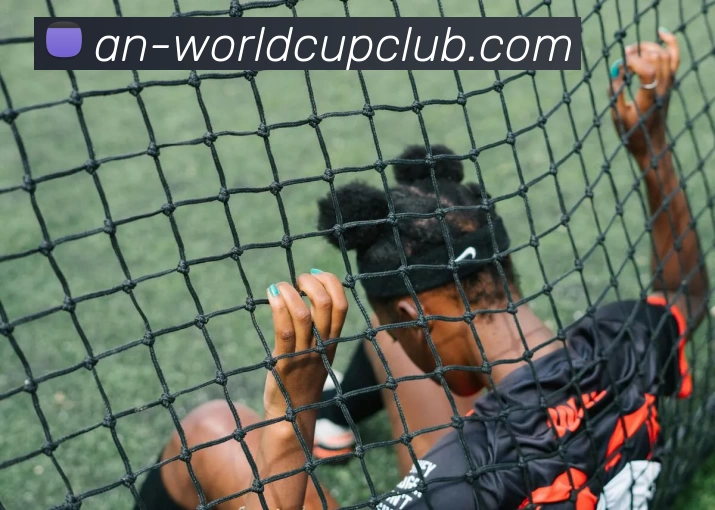 世界杯规则服务体系